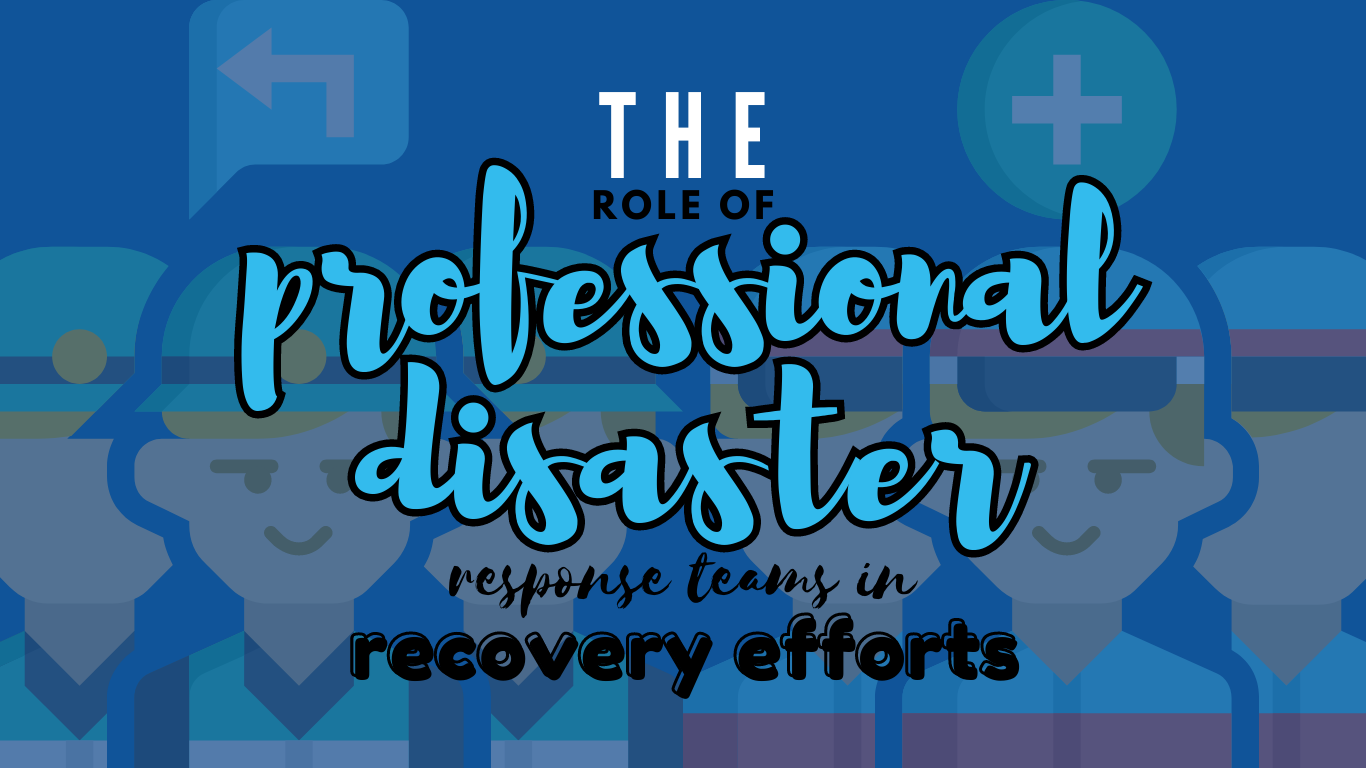 the role of professional disaster response team